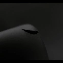 Produit Reconditionné - Combinaison Néoprène Femme Aquaman Bionik Lady 2021 Noir / Rouge 14 Produit Reconditionné - Combinaison Néoprène Femme Aquaman Bionik Lady 2021 Noir / Rouge -Équipement Natation Soldes unnamed file 1544