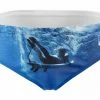 Maillot De Bain Otso Slip Surf Bleu